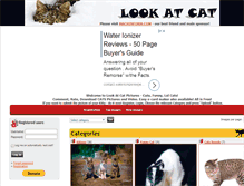 Tablet Screenshot of lookatcat.com